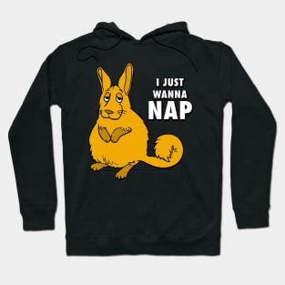 I Just Wanna Nap Hoodie